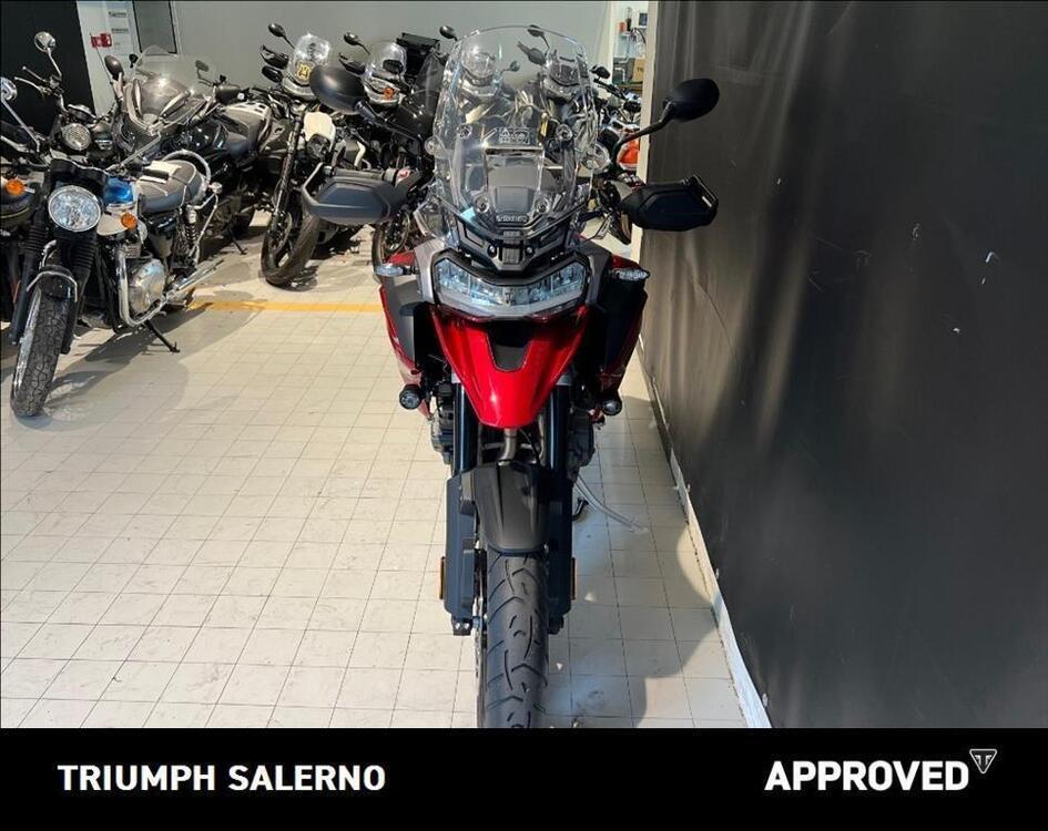 Triumph Tiger 1200 GT Pro (2024 - 25) (3)
