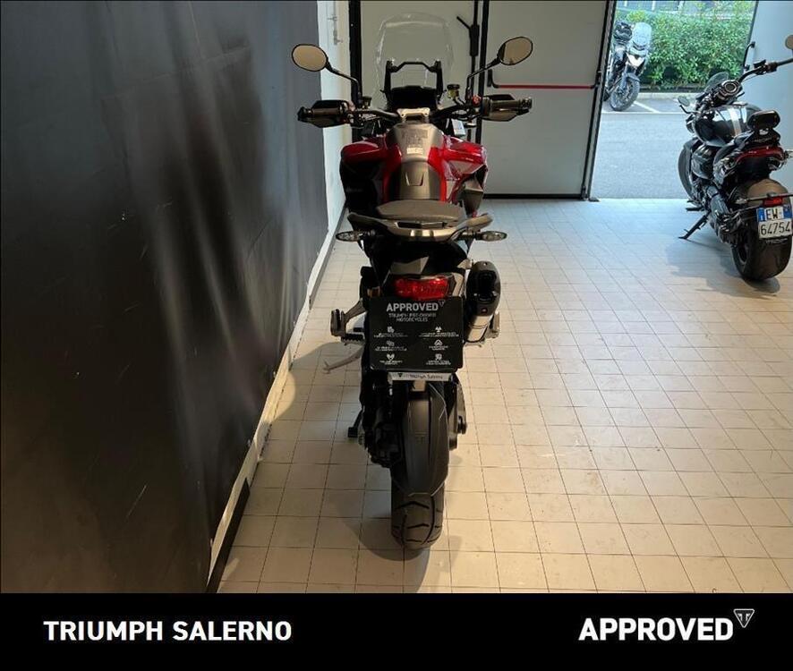 Triumph Tiger 1200 GT Pro (2024 - 25) (5)