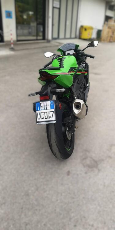 Kawasaki Ninja ZX-4RR (2024 - 26) (5)