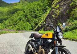 Ducati Scrambler 800 Classic (2017 - 18) usata
