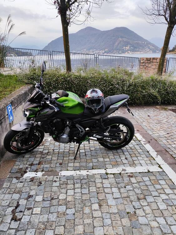 Kawasaki Z 650 (2017 - 19) (2)