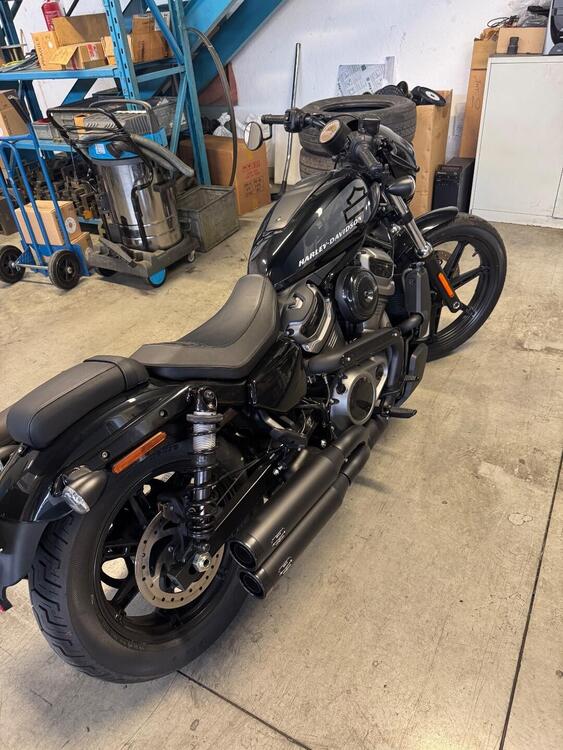 Harley-Davidson Nightster (2023 - 25)