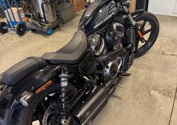 Harley-Davidson Nightster (2023 - 25) usata