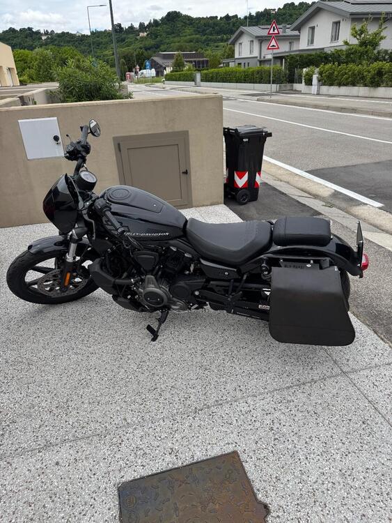 Harley-Davidson Nightster (2023 - 25) (2)