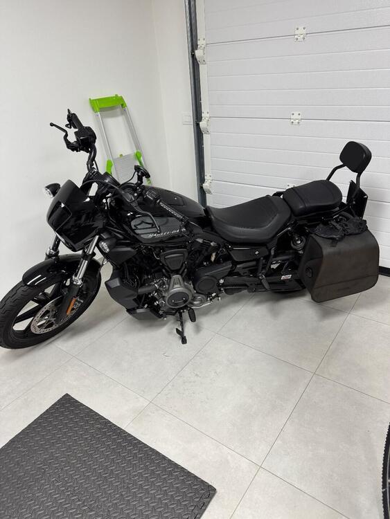 Harley-Davidson Nightster (2023 - 25) (3)