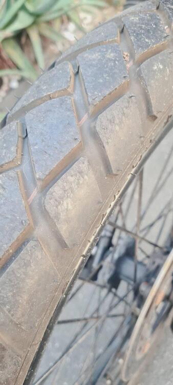 Honda Nx 650 Dominetor (5)