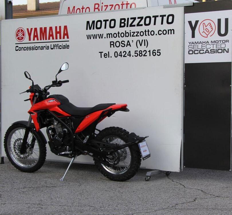 Betamotor Alp 4.0 (2024 - 25) (4)