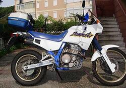 Honda HONDA NX 650 DOMINATOR d'epoca