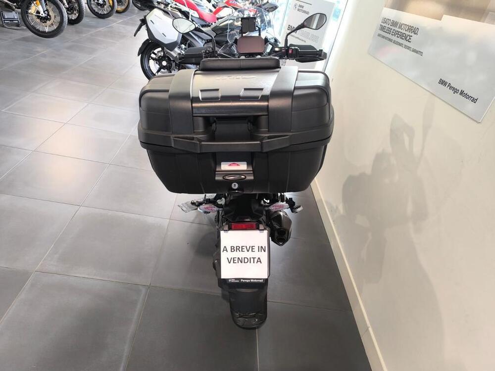 Bmw R 1300 GS Trophy (2023 - 25) (4)