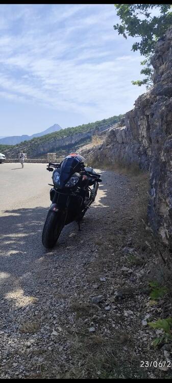 Aprilia Tuono 1000 R (2006 - 10) (2)