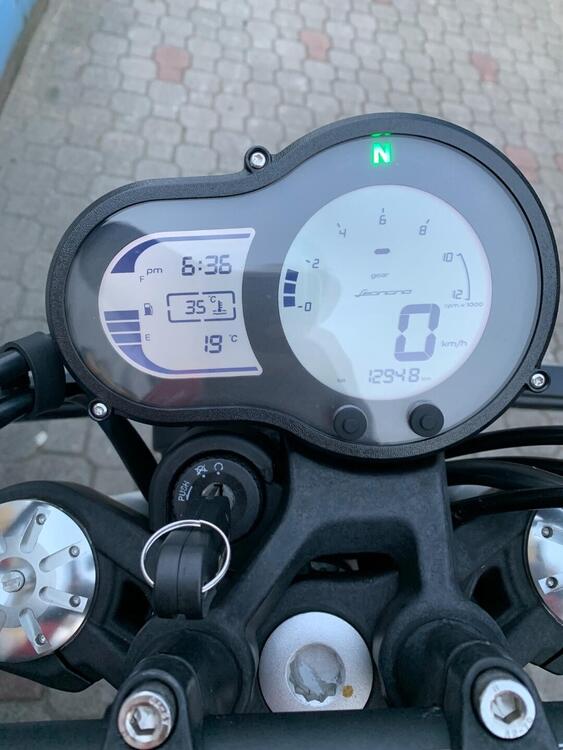 Benelli Leoncino 500 (2021 - 25) (4)