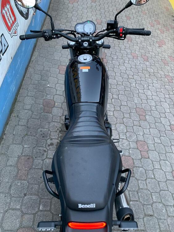 Benelli Leoncino 500 (2021 - 25) (5)