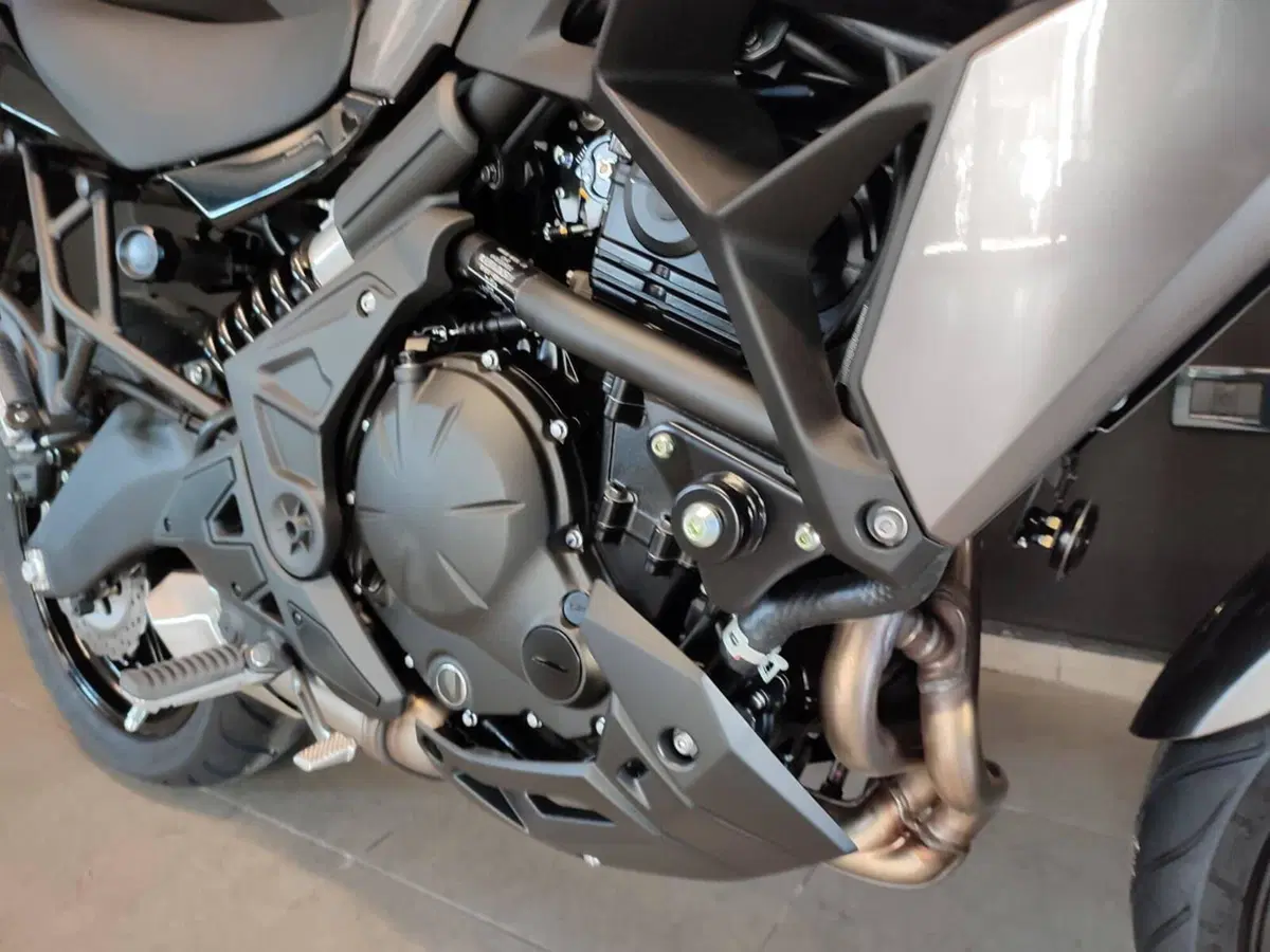 Kawasaki Versys 650 (2025 - 26) (3)