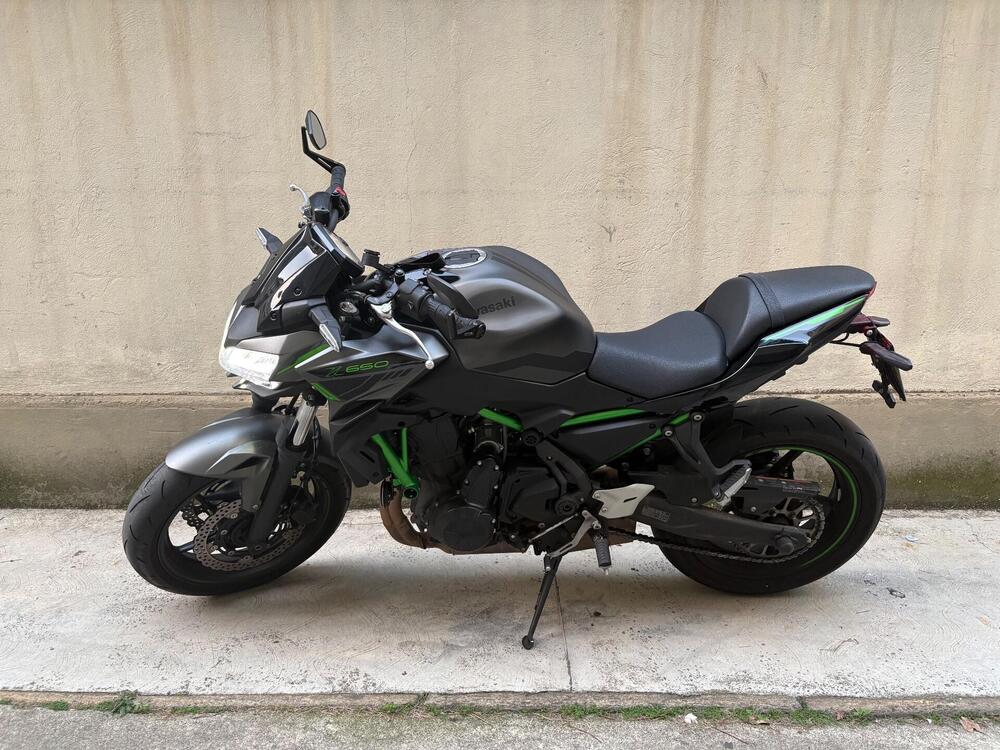 Kawasaki Z 650 (2021 - 24)