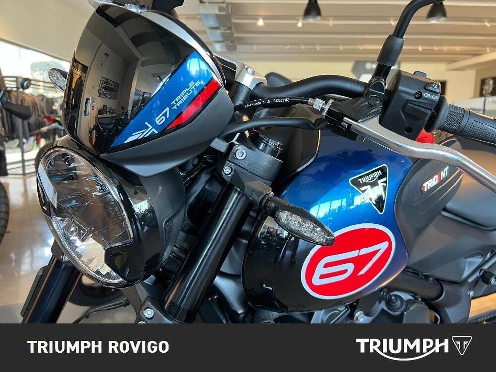 Triumph Trident 660 Triple Tribute Edition (2024) (2)