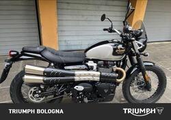 Triumph Scrambler 900 Icon Edition (2025) usata