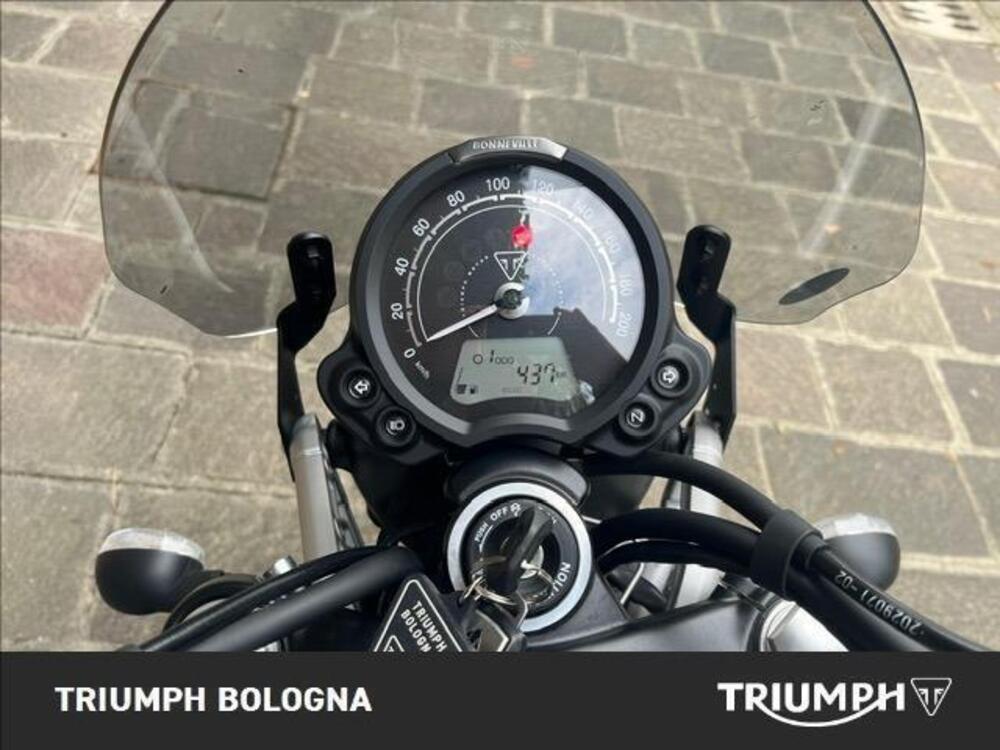 Triumph Scrambler 900 Icon Edition (2025) (4)