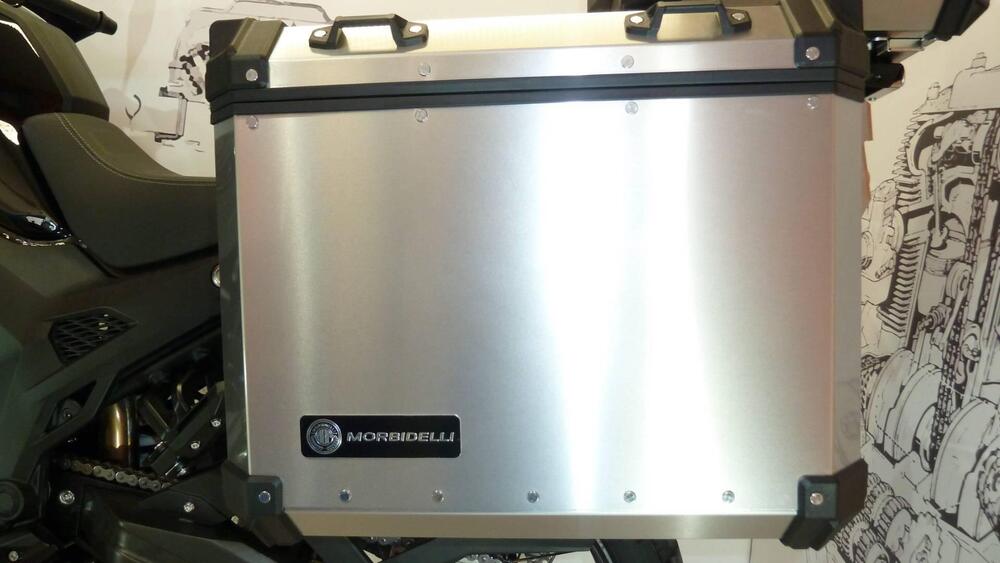 Morbidelli T1002VX (2024 - 25) (3)