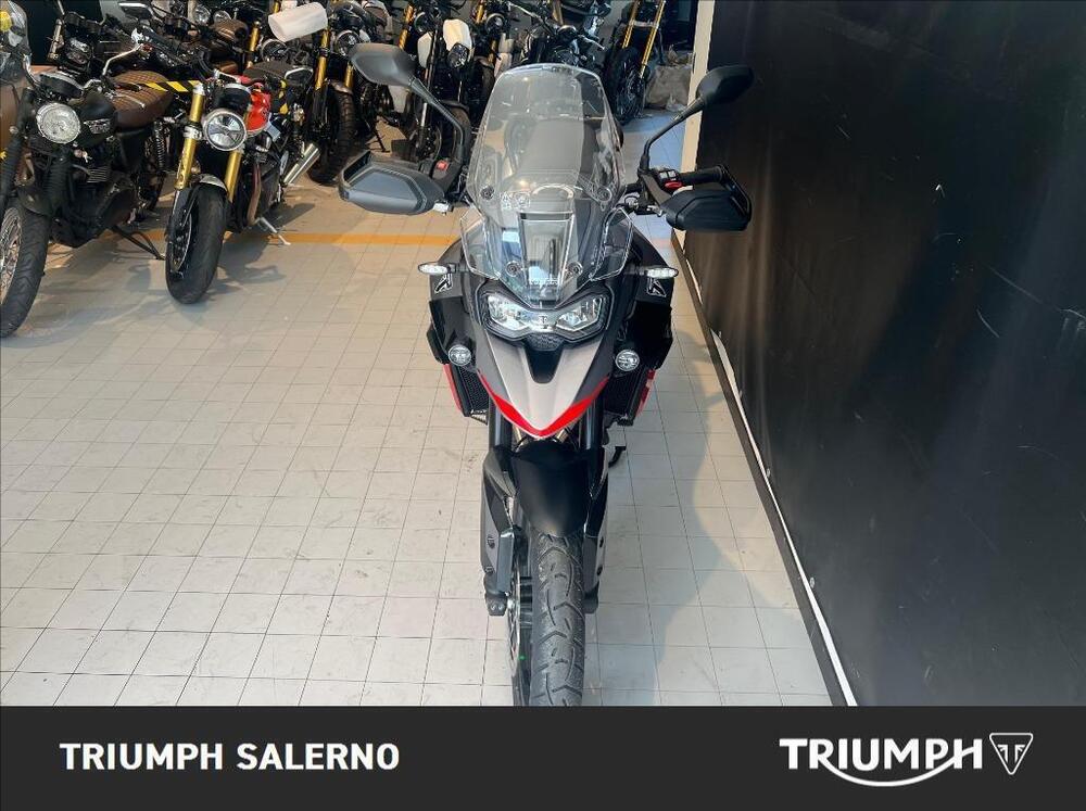 Triumph Tiger 900 GT Pro (2024 - 25) (3)