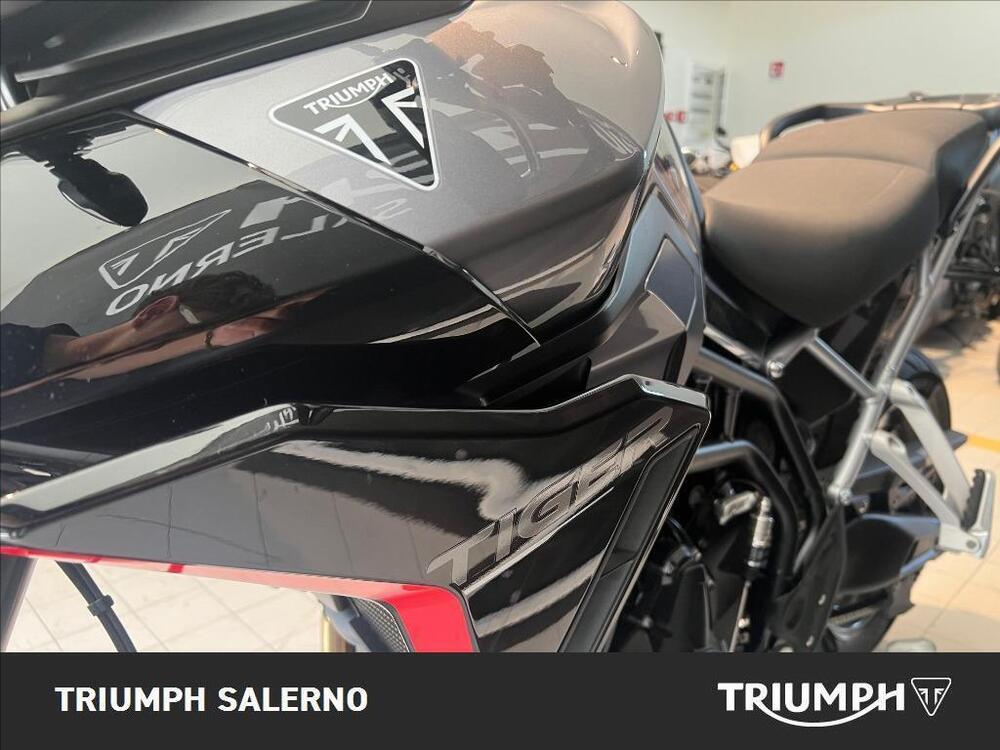 Triumph Tiger 900 GT Pro (2024 - 25) (4)