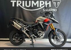 Triumph Tiger 900 Rally Pro (2024 - 25) usata