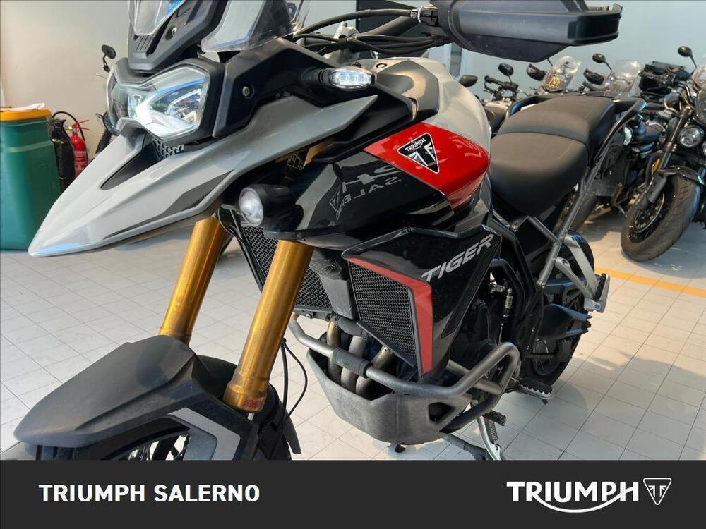 Triumph Tiger 900 Rally Pro (2024 - 25) (4)