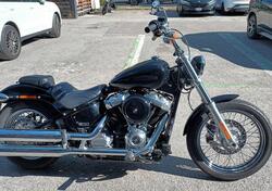 Harley-Davidson Softail Standard (2021 - 25) usata