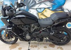 Harley-Davidson Pan America 1250 Special (2020 - 25) usata