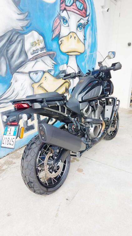 Harley-Davidson Pan America 1250 Special (2020 - 25) (4)