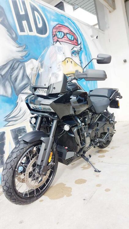 Harley-Davidson Pan America 1250 Special (2020 - 25) (3)