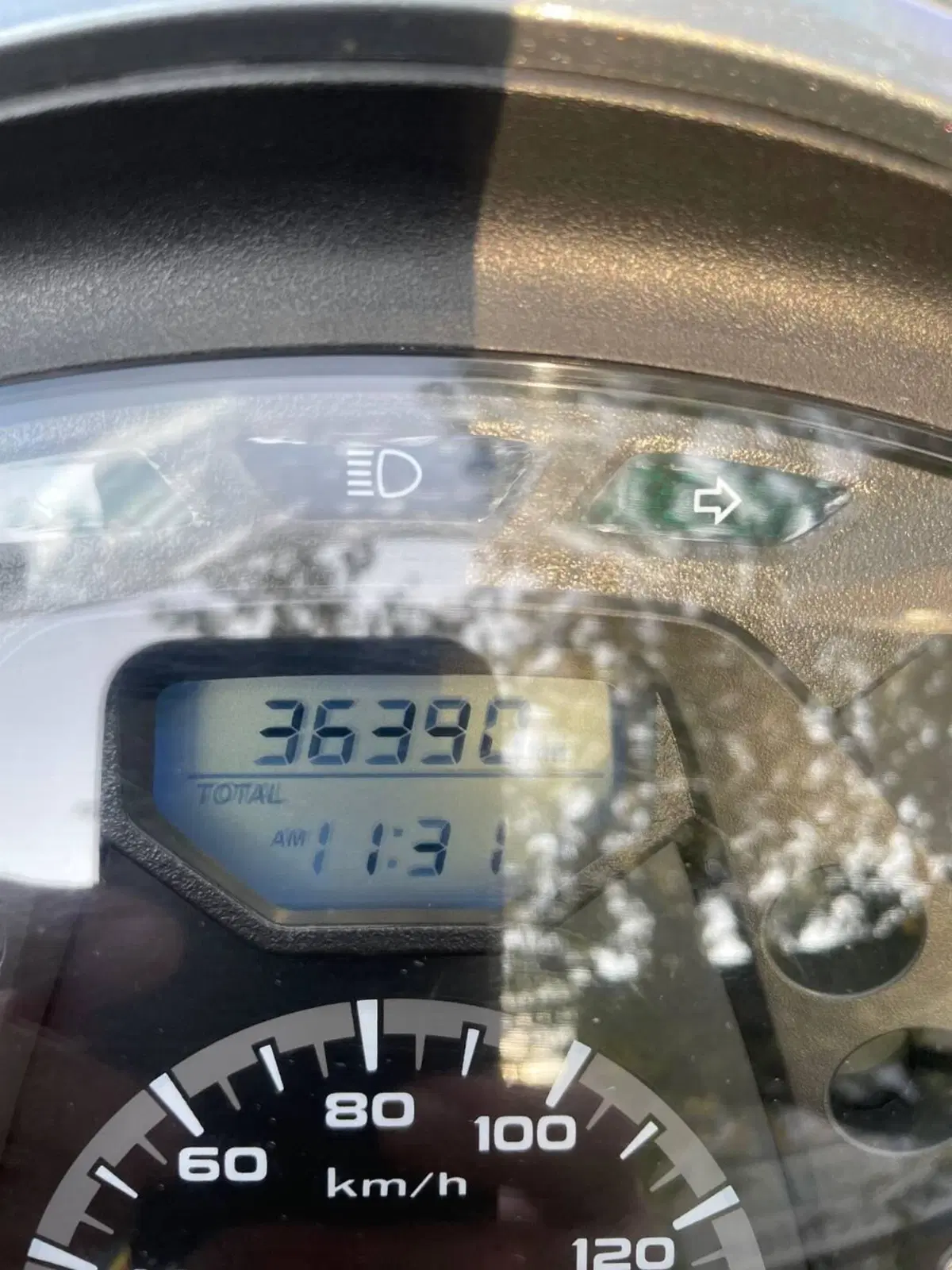 Honda SH 150i ABS (2013 - 16) (6)