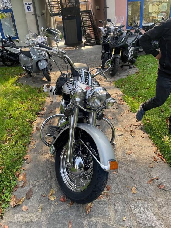 Harley-Davidson 1450 Heritage Classic (2003 - 05) - FLSTCI (5)