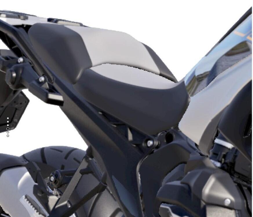 Bmw R 1300 GS (2023 - 25) (5)