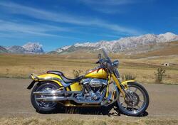 Harley-Davidson 1800 Springer (2009 - 12) - FXSTSSE usata