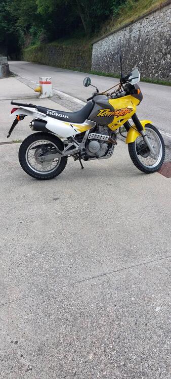 Honda NX 650 DOMINATOR (3)