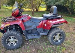 Arctic Cat 650 H1 usata