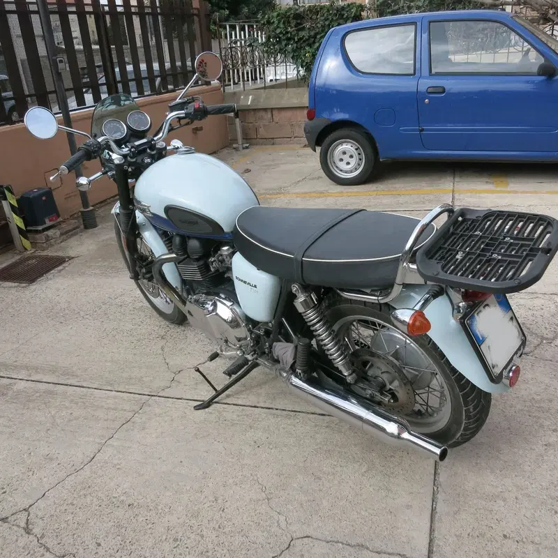 Triumph Bonneville T100 50th Anniversary (2009) (3)