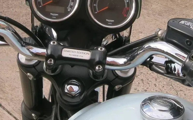 Triumph Bonneville T100 50th Anniversary (2009) (6)
