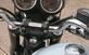Triumph Bonneville T100 50th Anniversary (2009) (6)