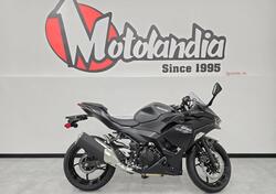 Kawasaki Ninja 500 (2024 - 26) nuova