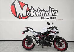 Kawasaki Z 500 SE (2024 - 26) nuova