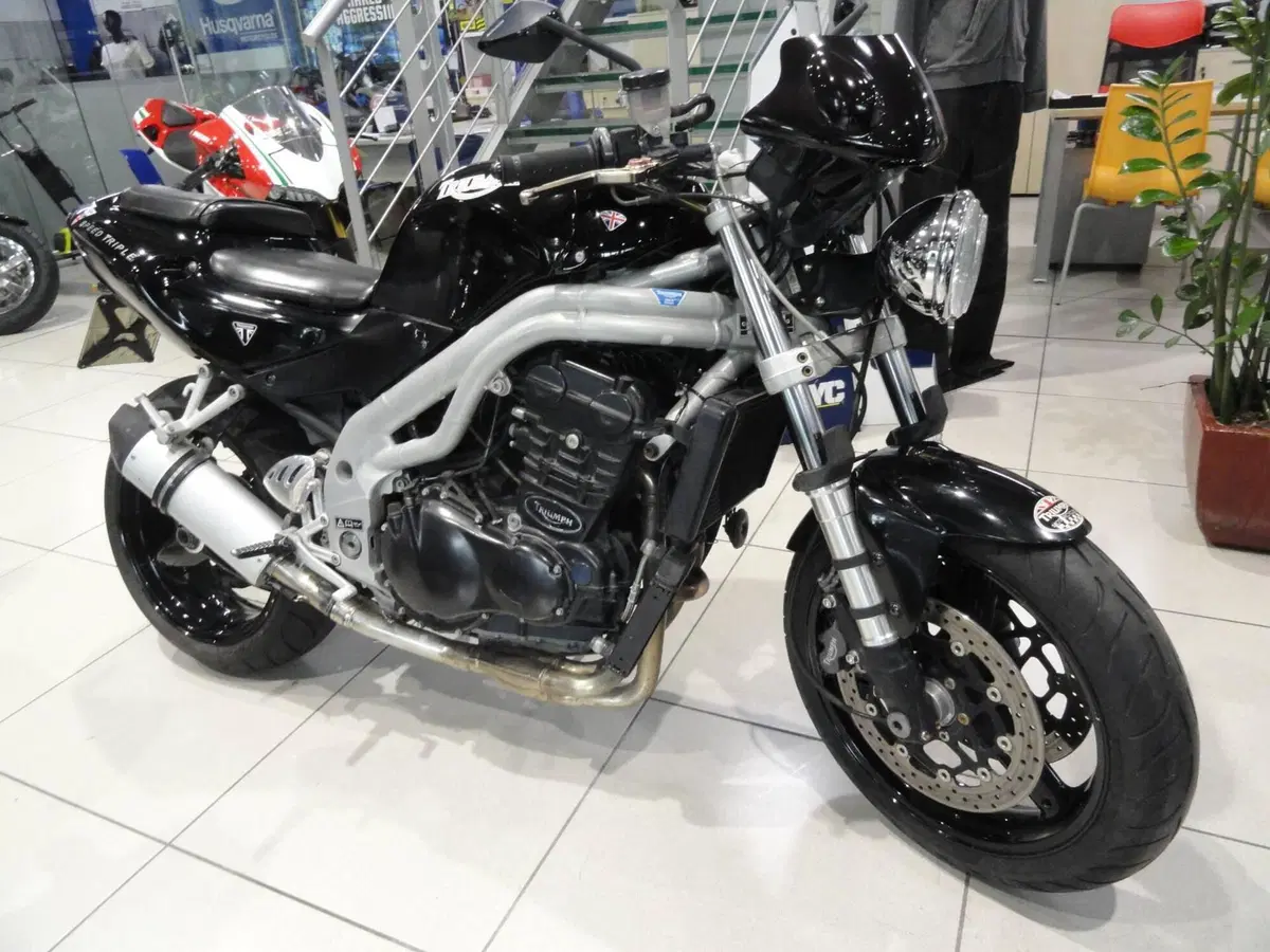 Triumph Speed Triple 955 (1998 - 01) (2)
