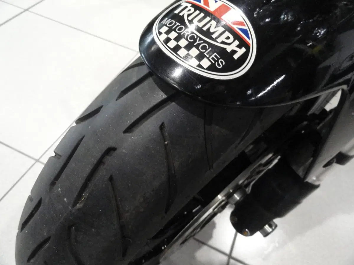 Triumph Speed Triple 955 (1998 - 01) (11)