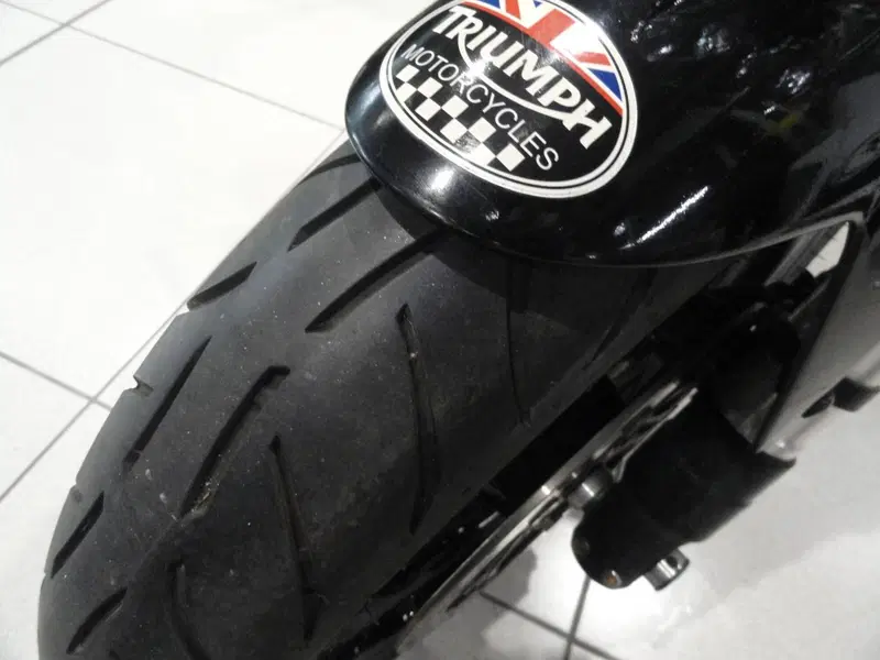 Triumph Speed Triple 955 (1998 - 01) (11)