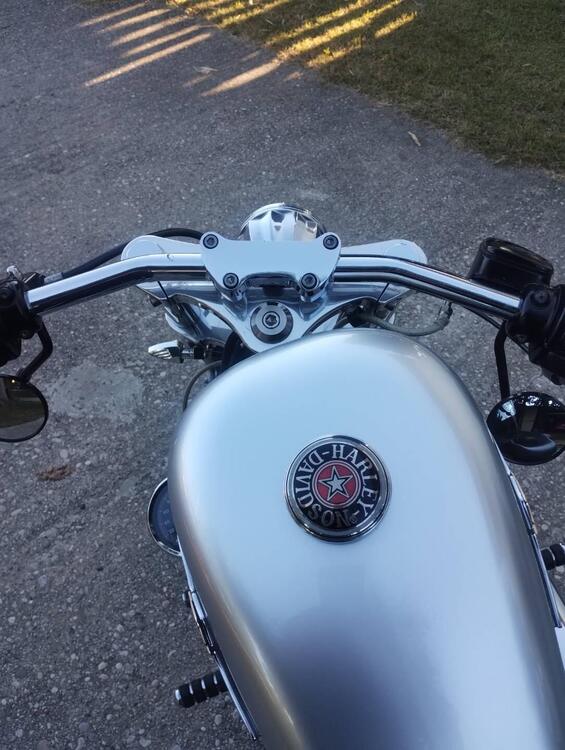 Harley-Davidson 883 Custom (2001 - 05) - XL 53C (4)