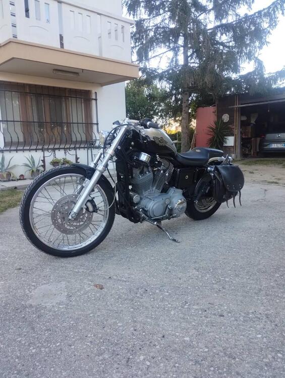 Harley-Davidson 883 Custom (2001 - 05) - XL 53C (5)