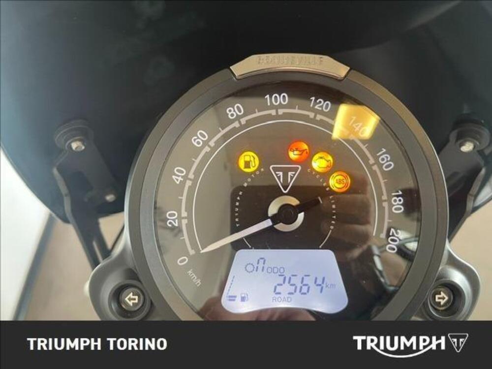 Triumph Street Scrambler 900 (2021 - 22) (3)