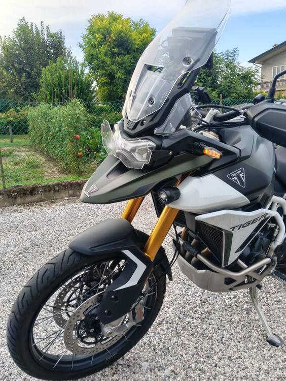 Triumph Tiger 900 Rally Pro (2024 - 25) (2)