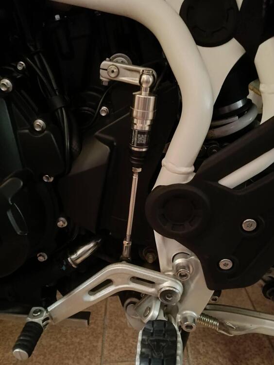 Triumph Tiger 900 Rally Pro (2024 - 25) (4)