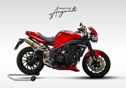 Triumph Speed Triple 1050 SE 15th Anniversary (2009 -10) usata